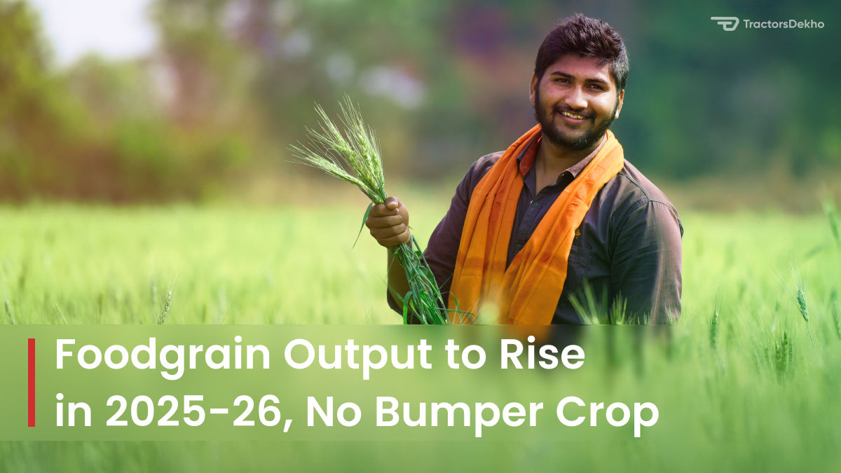 Foodgrain Output to Rise in 2025-26, No Bumper Crop | Tractorsdekho.com