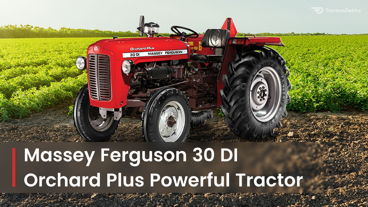 Massey Ferguson 30 DI Orchard Plus Powerful Tractor